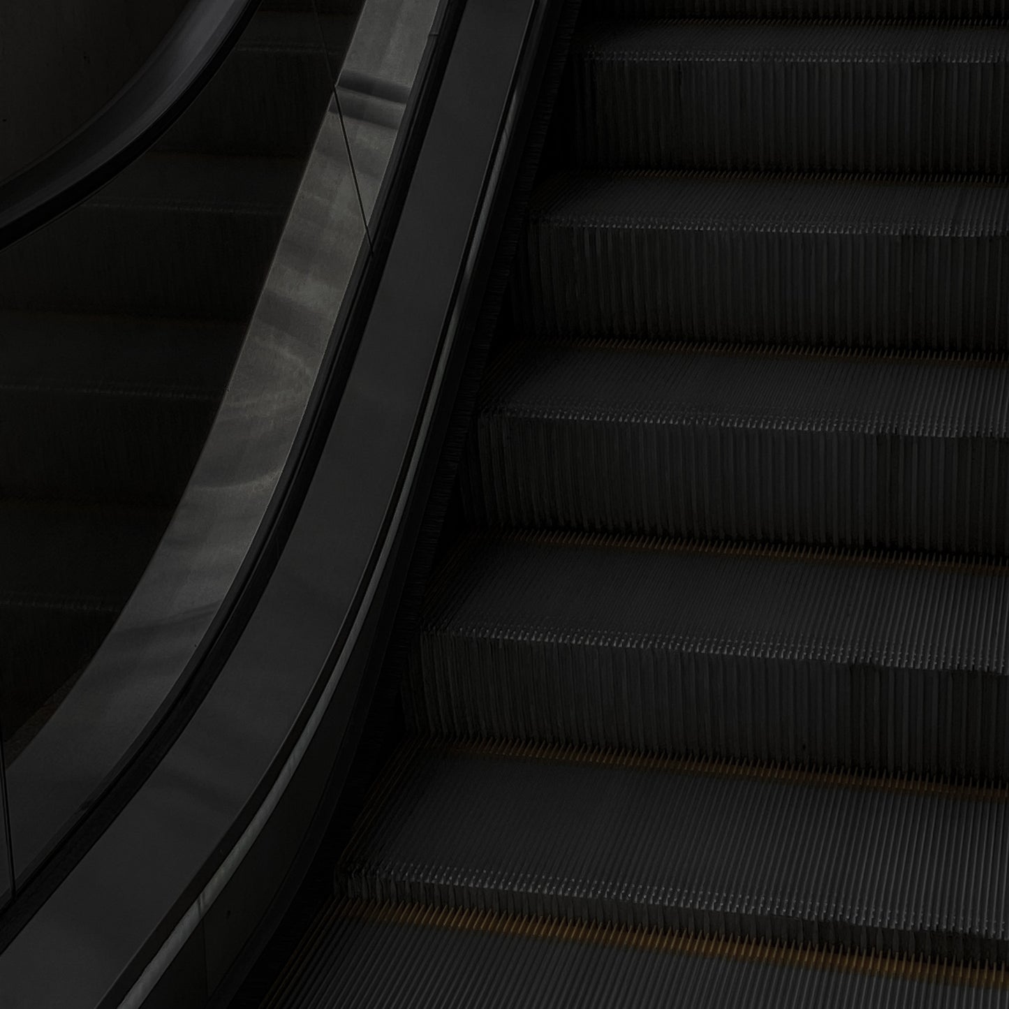 Dark Aesthetic Collection